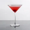 Thunder Group PLTHMT008C 8 Oz. Plastic Martini Glass