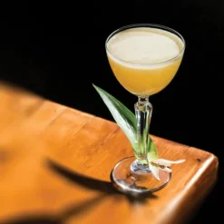 Libbey Speakeasy 4.75 Oz. Customizable Nick And Nora Glass - 12/Case -Vidivi shop 1757172