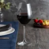 Spiegelau 4728001 Salute 18.5 Oz. Red Wine Glass - 12/Case