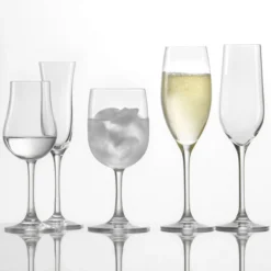 Stolzle 2000029T Classic 8.5 Oz. Flute Glass - 6/Pack -Vidivi shop 1892315