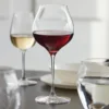 Chef & Sommelier FN160 Villeneuve By Daniel Boulud 21.5 Oz. Customizable Burgundy Wine Glass By Arc Cardinal - 12/Case